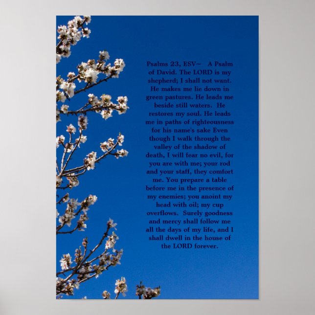 Psalms 23 poster (Front)