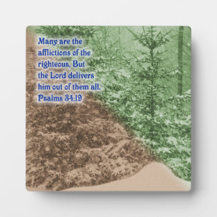 Psalms 34:19 plaque