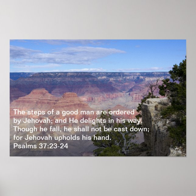 Psalms 37:23-24 Poster (Front)