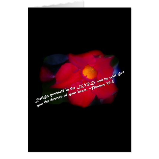 Psalms 37:4 on Black (Front)