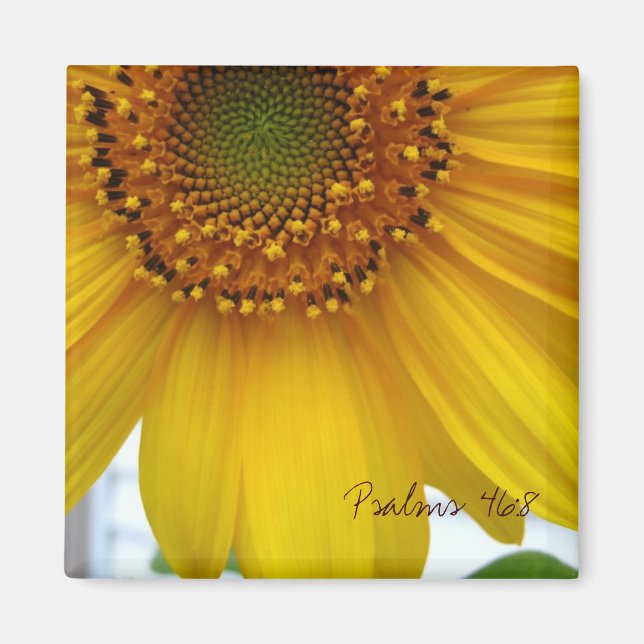 Psalms 46:8 magnet (Front)