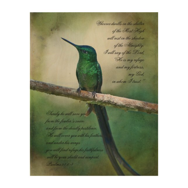 Psalms 91:1-4 Inspirational Wood Wall Art (Front)