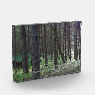 Psalms 96:12 Inspirational Acrylic Award