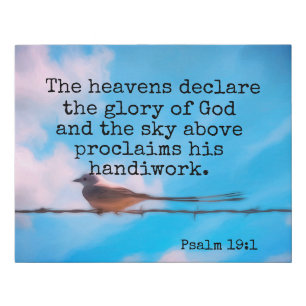 Psalms Bible verse  pretty blue sky with bird  Faux Canvas Print