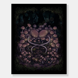 Psilocybe Allenii Foam Board