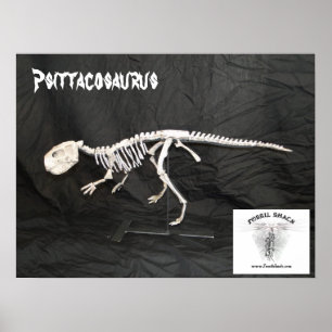 Psittacosaurus Skeleton Poster