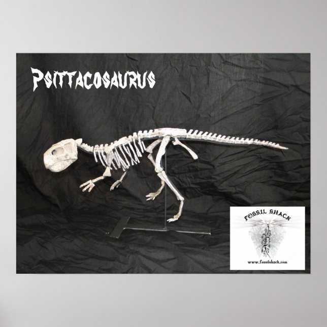 Psittacosaurus Skeleton Poster (Front)