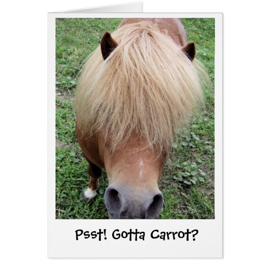 Psst! Gotta Carrot? Cards (Front)