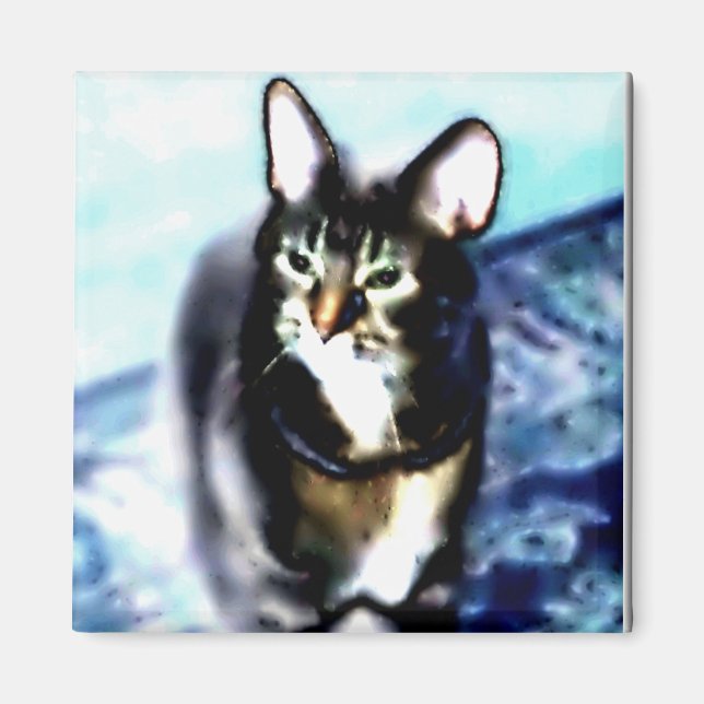 Psychadelic Kitty Magnet (Front)