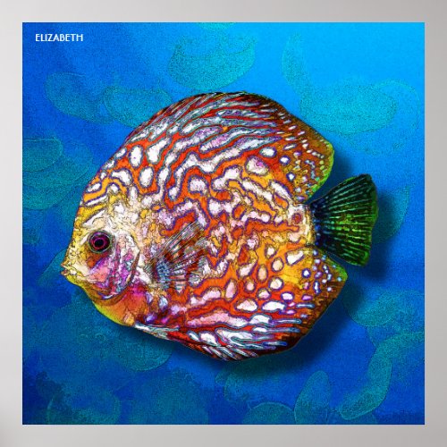 Psychedelic Colorful Exotic Discus Fish Drawing Poster