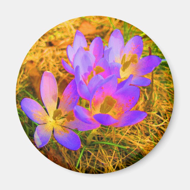 Psychedelic Crocus Magnet (Front)
