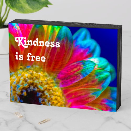 Psychedelic Daisy Kindness Wood Box Sign