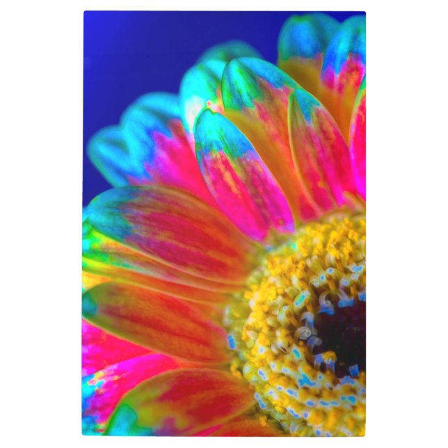 Psychedelic Daisy Metal Print (Front)