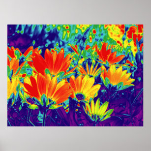 Psychedelic Flowers Poster