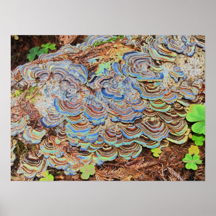 psychedelic fungus growing on a tree print