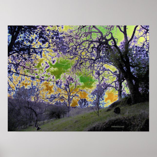 psychedelic green and yellow sky poster (Front)