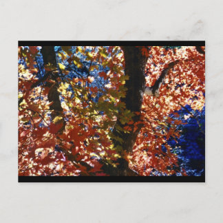 Psychedelic Leaves Postcard
