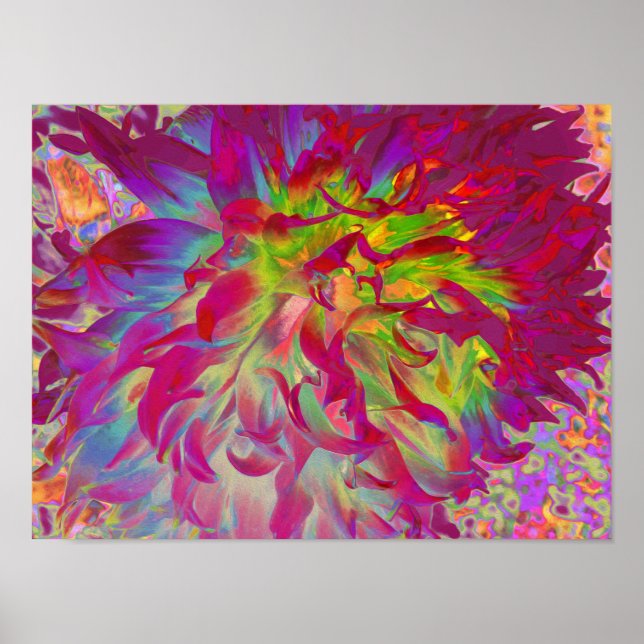Psychedelic Magenta and Yellow Dahlia Flower Poster (Front)