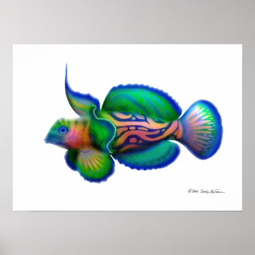 Psychedelic Mandarin Fish Poster