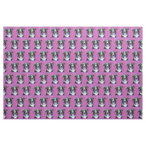 Psychedelic Moon Dog Border Collie Fabric