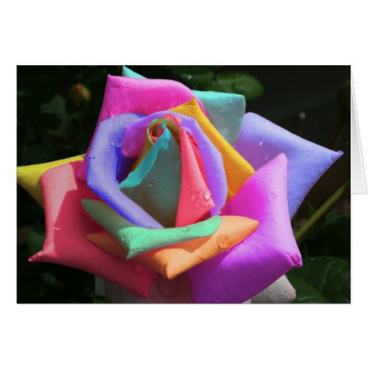 Psychedelic Rainbow Rose Cards (Front Horizontal)