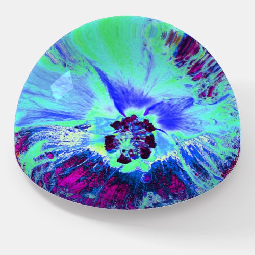 Psychedelic Retro Green and Blue Hibiscus Flower Paperweight