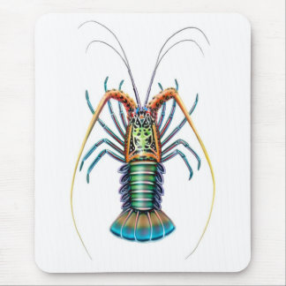 Psychedelic Spiny Lobster Mousepad