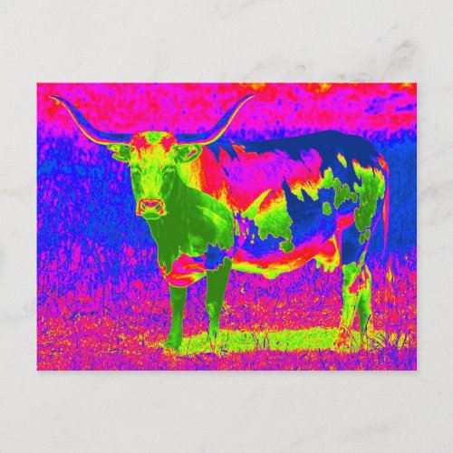 Psychedelic Texas Longhorn Cow Postcard
