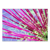 Psychedelic Yucca Abstract Red (Front Horizontal)