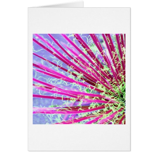 Psychedelic Yucca Abstract Red Card