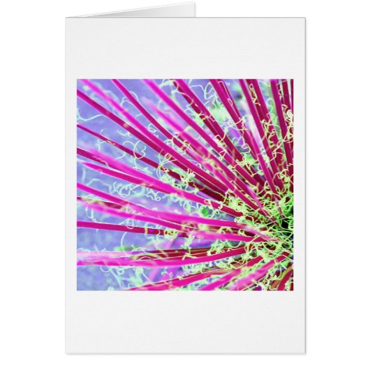 Psychedelic Yucca Abstract Red Cards (Front)