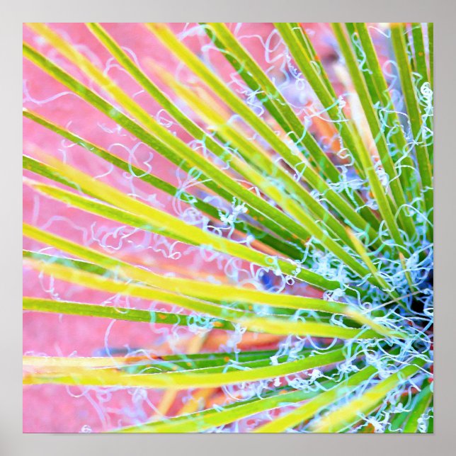 Psychedelic Yucca Poster (Front)