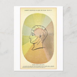 Psychic Lights and Colors Anatomy Diagram Postcard