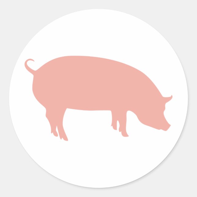 Psychic Pig Euro 2012 Classic Round Sticker (Front)