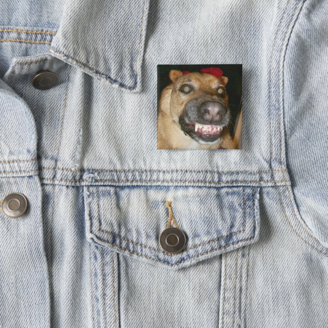 Psycho German Shepherd Dog Scary Evil Button (In Situ)