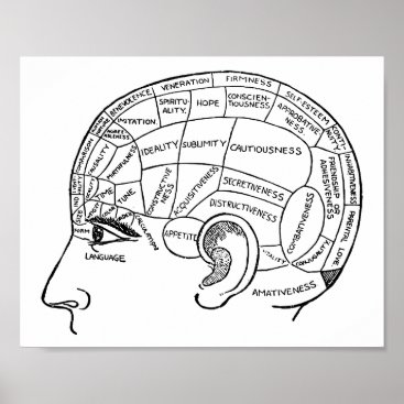 Psychology vintage phrenology psychiatry brain   poster