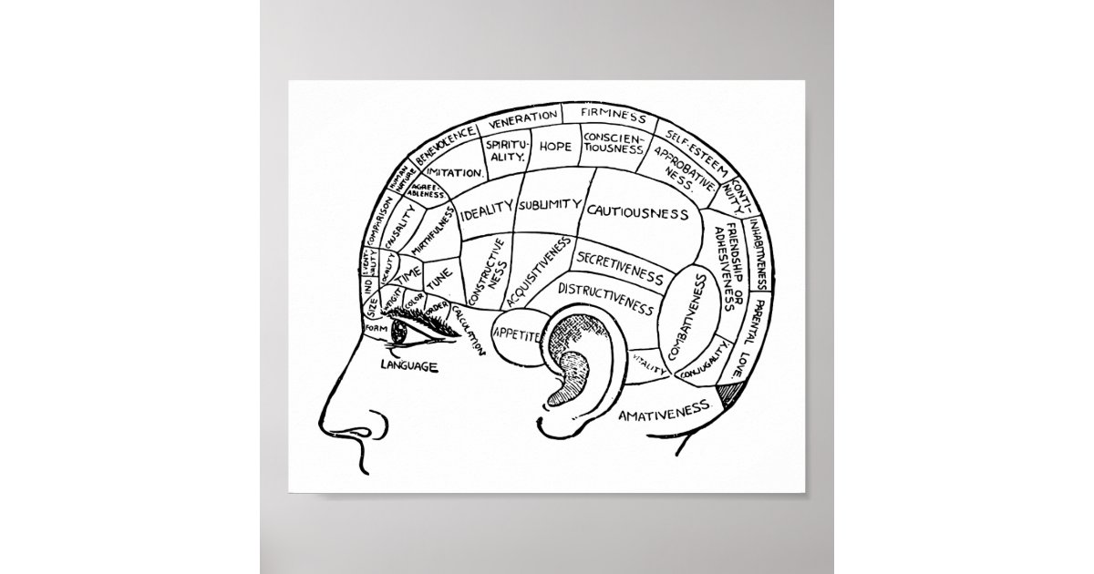 psychology brain