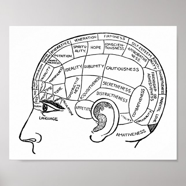 Psychology vintage phrenology psychiatry brain   poster (Front)