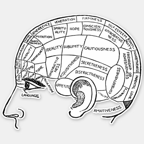 Psychology vintage phrenology psychiatry brain  sticker