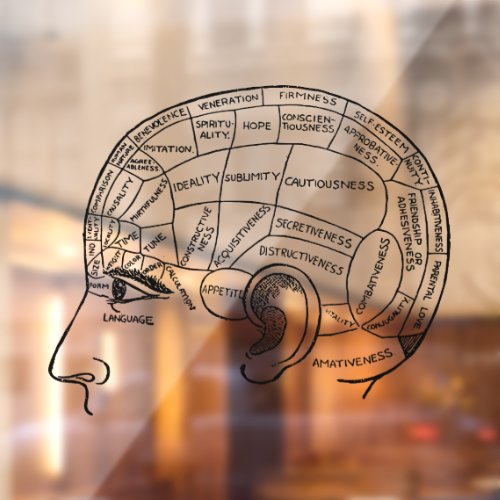 Psychology vintage phrenology psychiatry brain  window cling