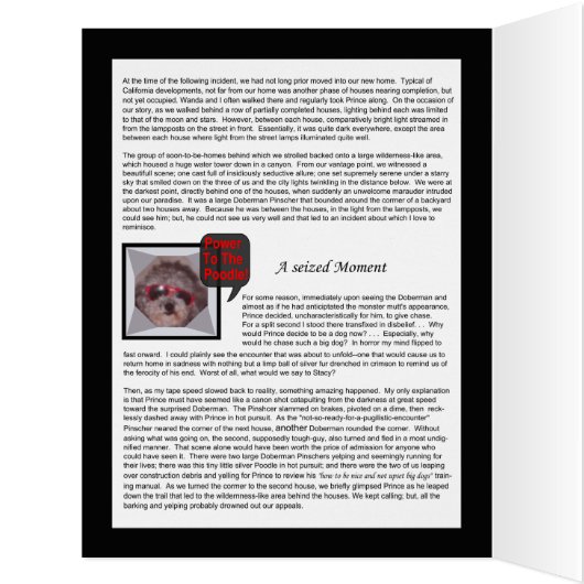 Pt. 2 Prince... Poodle, Pooch, or Person (2of3) (Inside (Left))