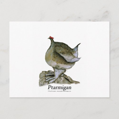 Ptarmigan bird tony fernandes postcard