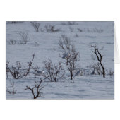 Ptarmigan Family; Customizable (Front Horizontal)