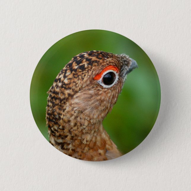 ptarmigan pinback button (Front)