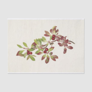 Ptarmiganberry by Mary Vaux Walcott Tissue Paper