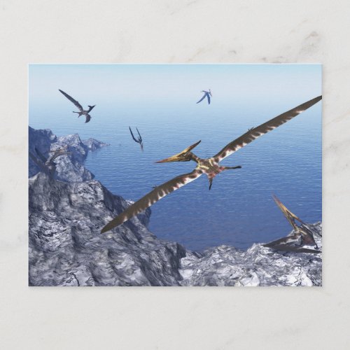 Pteranodon birds _ 3D render Postcard