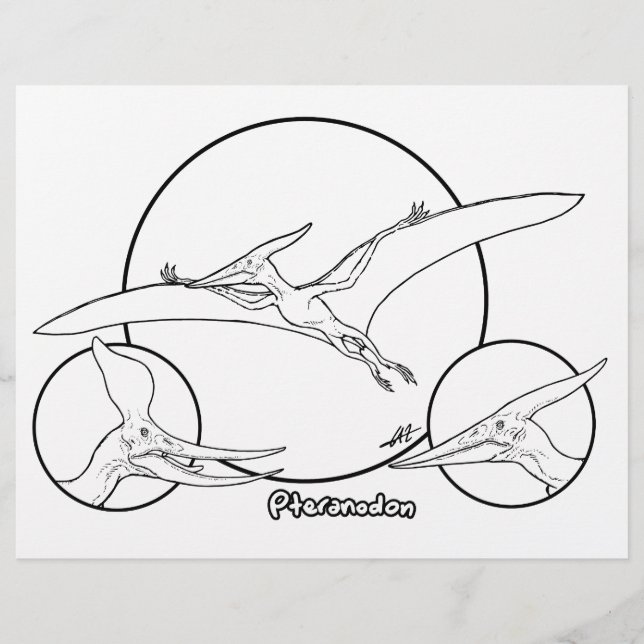 Pteranodon - Coloring Page. (Front)