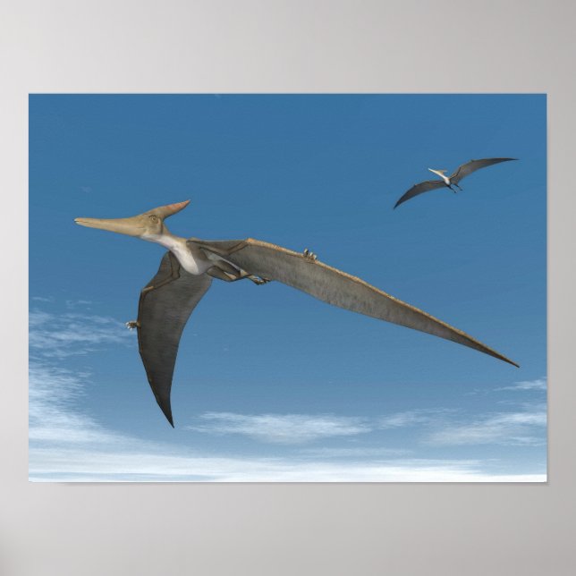 Pteranodon dinosaurs flying - 3D render Poster (Front)