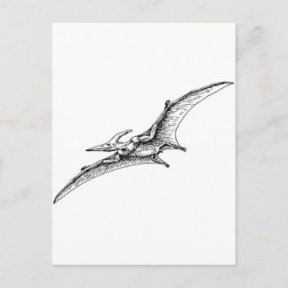 Pterodactyl Postcard