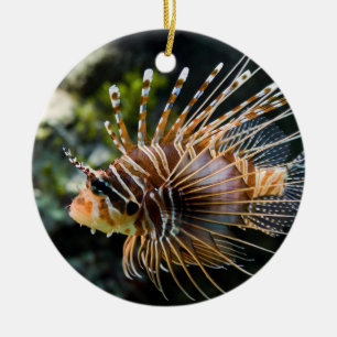 Pterois Antennata Broadbarred Firefish Lionfish Ceramic Ornament